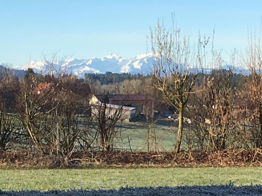 Ferienwohnung Panorama Saentisblick Hergatz Exterior foto